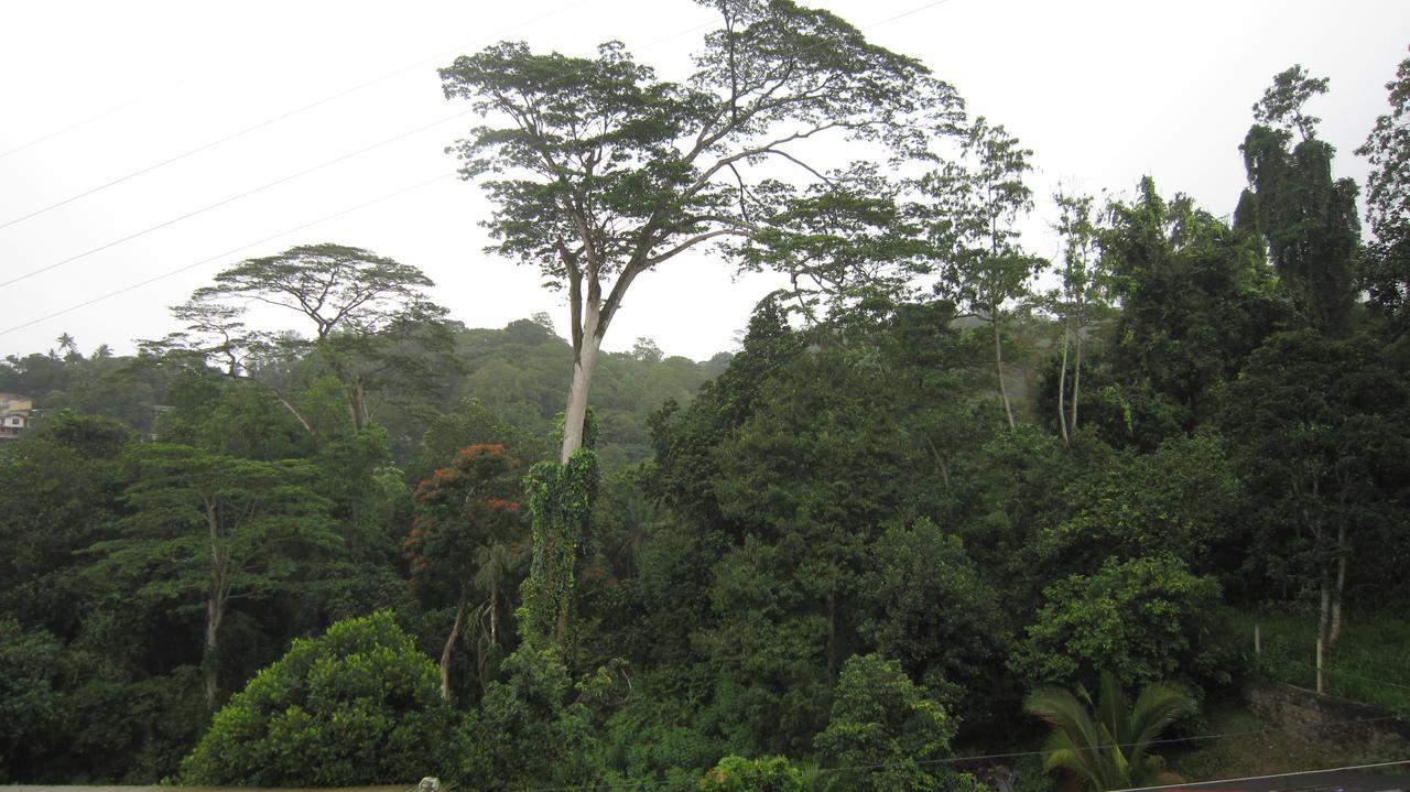 Bethel Rest Homestay Kandy Exterior photo